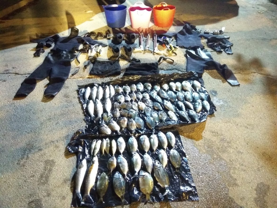 ΥΠΟΒΡΥΧΙΑ ΑΛΙΕΙΑ ΜΕ ΦΑΚΟ